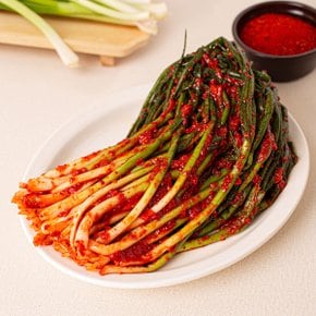 [이광석장인]파김치1kg 반찬 밥도둑