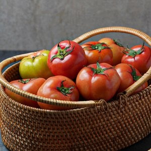 미미의밥상 이사금 찰 토마토 3kg(소과)