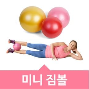 미니짐볼 20cm/25cm/30cm 요가공 다이어트짐볼