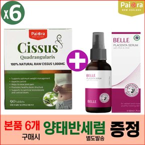 (6개) 뉴질랜드 파이오라 시서스 1000mg 90정 인도산 시저스 추출물 Cissus