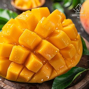 항공직송 프리미엄 고당도 태국 골드망고 1kg(2-4과)