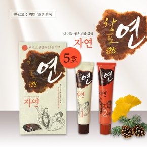 중외제약 창포연 자연 5호 자연갈색 60g 친환경 프리미엄 새치염색약