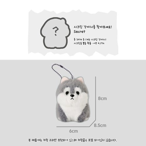 추가이미지