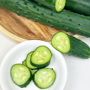 국내산 신선한 취청오이 청오이 오이김치 피클 5kg