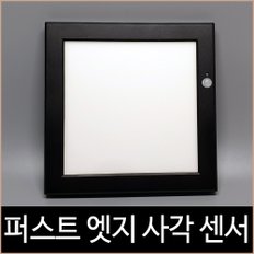 퍼스트 LED 20W 엣지 8인치 사각 센서 주광색 블랙