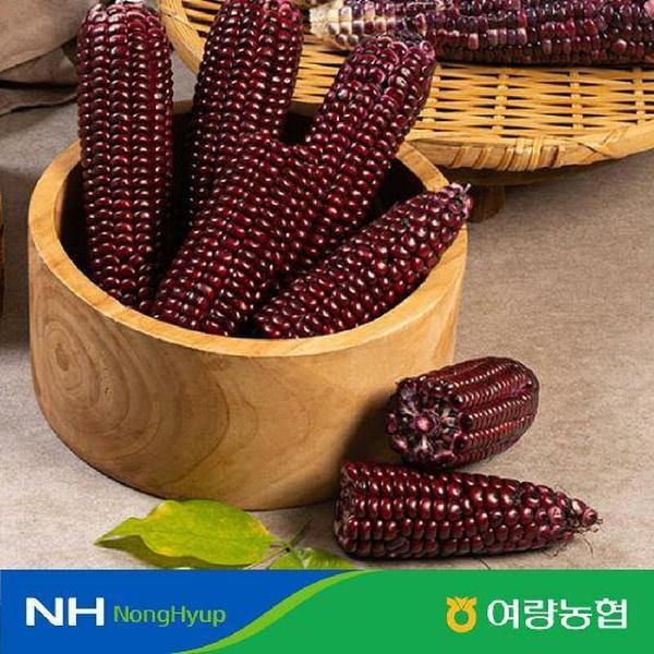 확대된 대표 이미지 G
