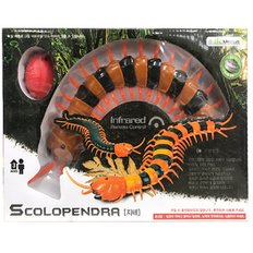 [반디] Scolopendra 지네RC 작동완구 _ 색상랜덤