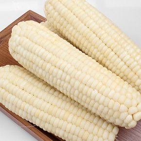 쫀득쫀득 냉동 백찰옥수수 특대 (16~18cm) 30개입