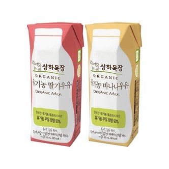  상하목장 유기농 딸기+바나나우유 125ml 각24팩(총48팩)