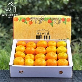 [9/12(목)오전8시 주문마감][웰굿]명품 제주 하우스 감귤 선물세트 3kg(S-2S,40과내외)