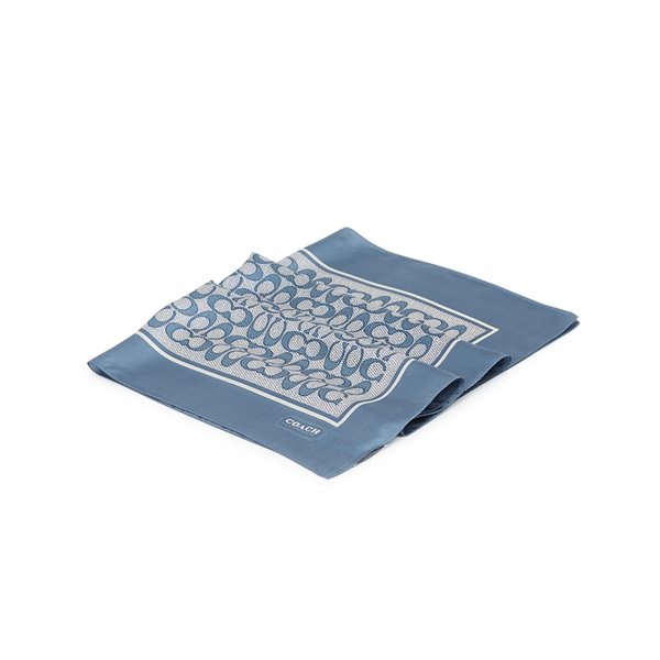 [부산점] 시그니처 여성 실크 스카프  C2755 LDE