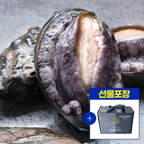 [선물세트포장] 완도 활전복 1kg(10~11미) + 전복칼증정