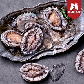 [선물세트포장] 완도 활전복 1kg(10~11미) + 전복칼증정