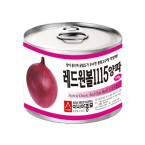 양파씨앗종자 레드원볼1115(100g)