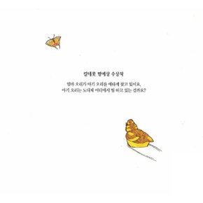 4-7세  비룡소 그림동화  40권  B세트