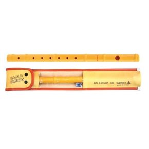 소금 NSSP-100