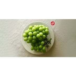 새벽싱싱 샤인머스캣 2kg(3-4수) / 에어캡 포장