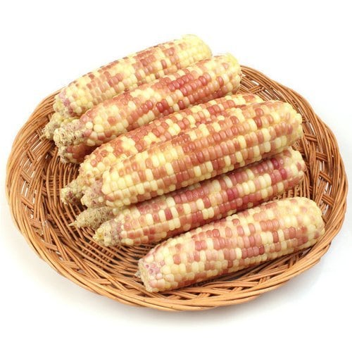 상품이미지1