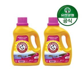 암앤해머세탁세제 트로피컬 파라다이스 2.97L 2개