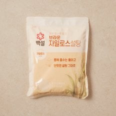 CJ백설 자일로스설탕(갈색) 1kg