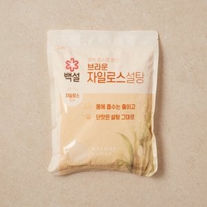 CJ제일제당 CJ백설 자일로스설탕(갈색) 1kg