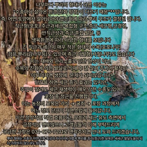 추가이미지9
