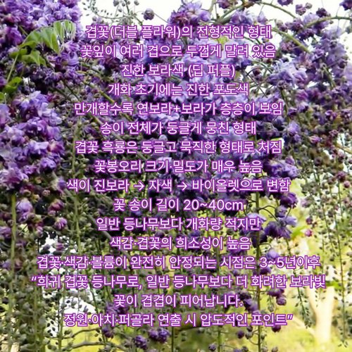 추가이미지2