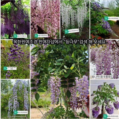 추가이미지4