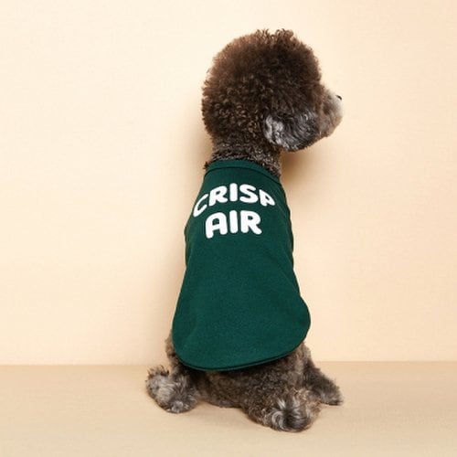 WINTER SWEAT SHIRT_Green 2
