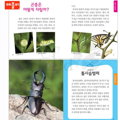 이미지4