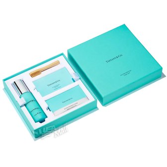 TIFFANY&CO 티파니앤코 실버 케어 키트 74046002 TIFFANY SILVER JEWELRY CARE KIT