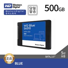 Blue SSD SA510 500GB 2.5형 (SATA3/TLC/5년)