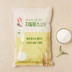 CJ백설 자일로스설탕 (하얀) 2kg