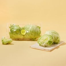  친환경 양상추 2입 (500g)