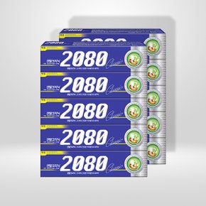 2080 치약 170g 10개입