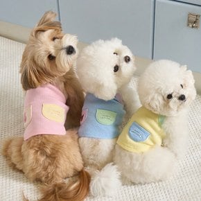 베니즈 팔레트 크롭 탑