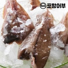  [포항어부] 두절 손질 가자미 1kg 내외 (7~8미)