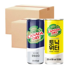 캐나다 드라이 토닉워터 250ml x30캔 + 클럽소다 250ml x30캔