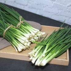 철따라농산물 국내산 햇 흙쪽파 손질쪽파 1단