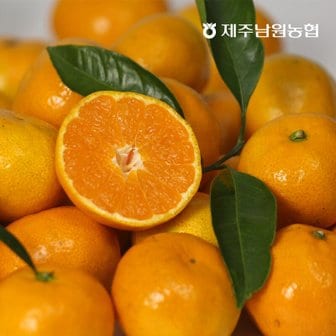 제주남원농협 제주 노지감귤 로얄과 9kg (실중량)