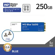 BLUE SA510 M.2 SSD 250GB (SATA3/TLC/5년)