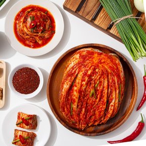[더조은] 햇살담은 매운 실비김치 2kg