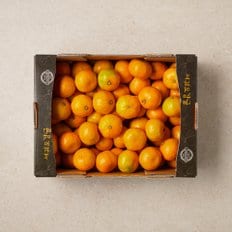 서귀포 실속 감귤 3.8kg 박스