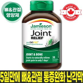 관절뼈 통증완화 천연난각막+비타민D3 함유 관절/골밀도 강화 영양제