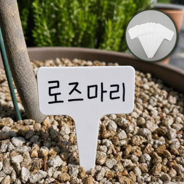 확대된 대표 상품이미지1