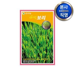 새싹 보리 씨앗 12g . 친환경 무농약 무소독 채소 수경 재배 씨 종자