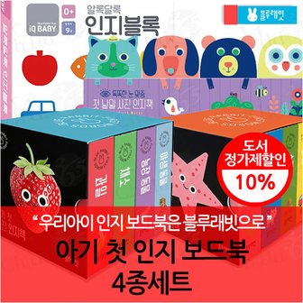 블루래빗 아기 첫 인지 보드북 4종세트