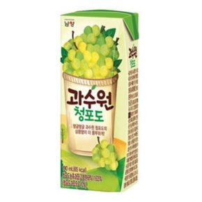 유업 과수원 청포도 190ml x24개