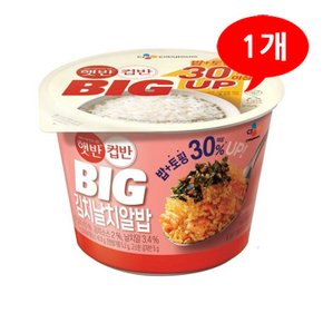 (7206127) 햇반 컵반 BIG 김치날치알밥 263g