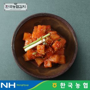 한국김치 전라도 순천 남도 깍두기 3kg